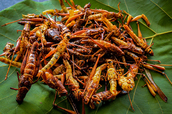 Wisata Kuliner