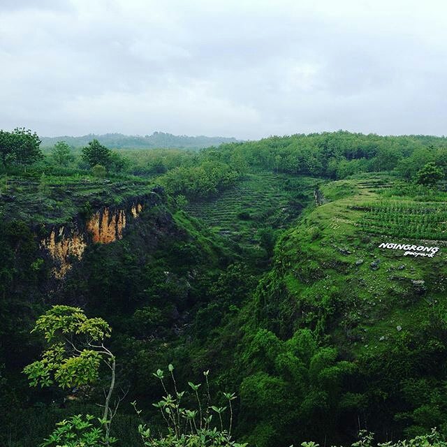 Taman Kebumian Goa Ngingrong