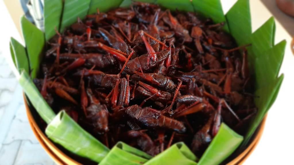 Belalang Goreng